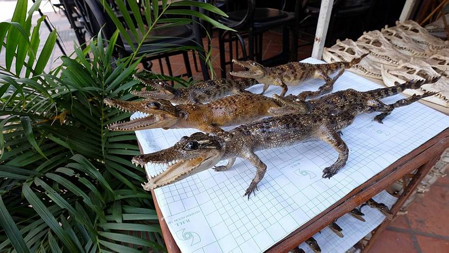 06-siem reap-16